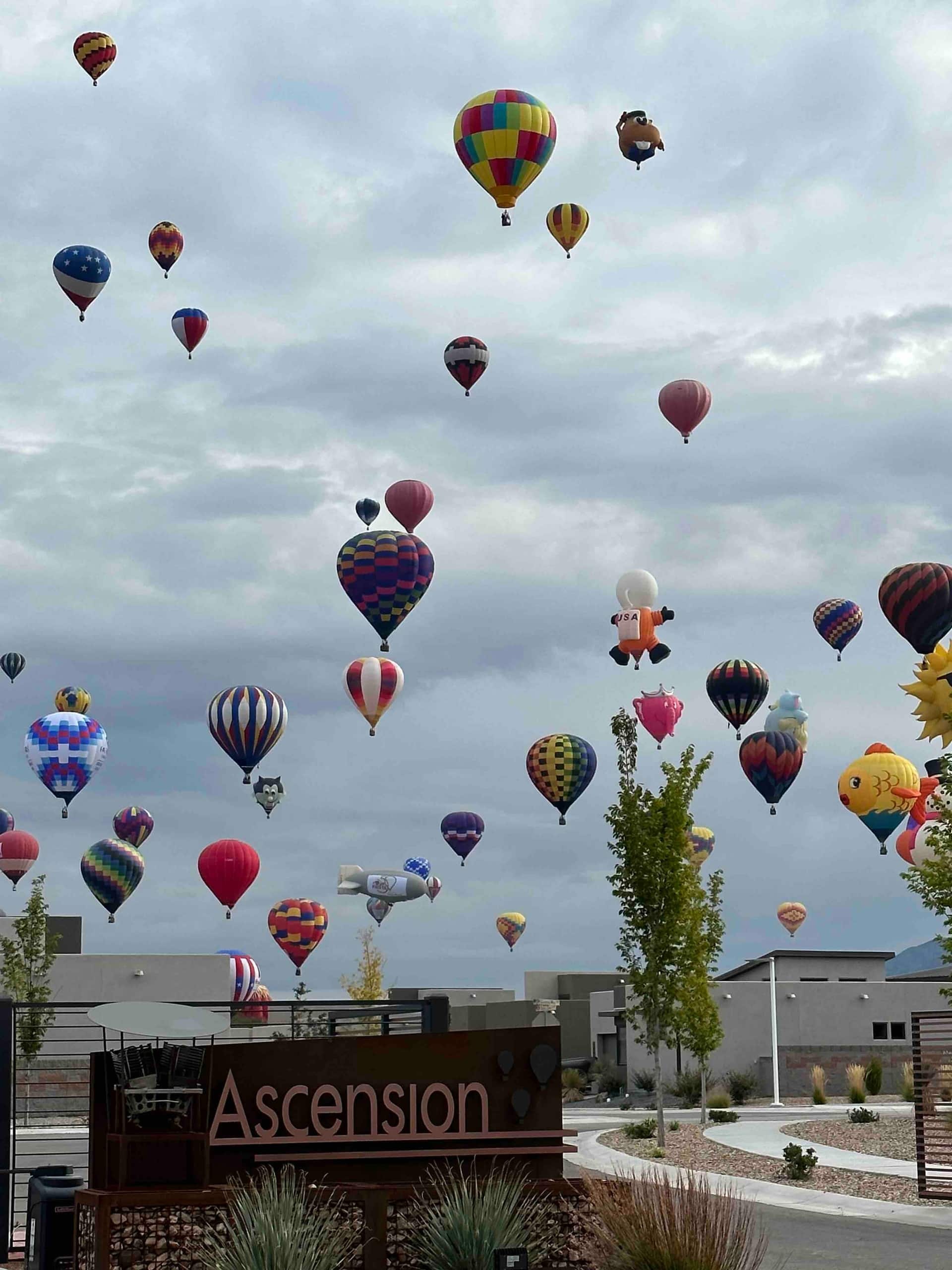 Splendid Balloon Fiesta w/ Hot Tub, photo 11